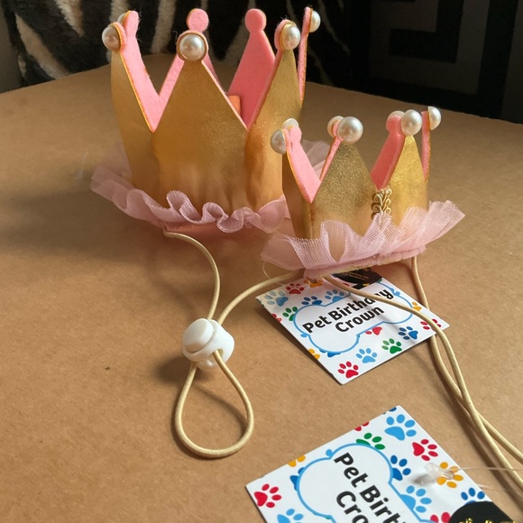 Pet Birthday Crown. Small - Picture 6 of 6